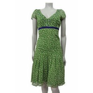 Viola silk dress size 2